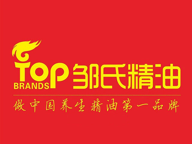 鄒氏集團(tuán)2