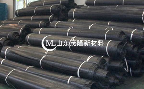 單向拉伸塑料土工格柵產(chǎn)品演示圖2