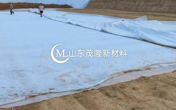 《現西咸新區高爾夫》土工布、復合土工布施工