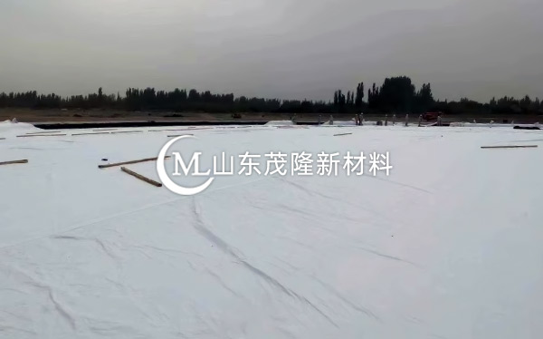 《中國石化庫車商儲庫工程》土工膜、土工布施工  第5張