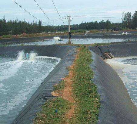 再生料與新材料防滲膜相比有哪些優點?