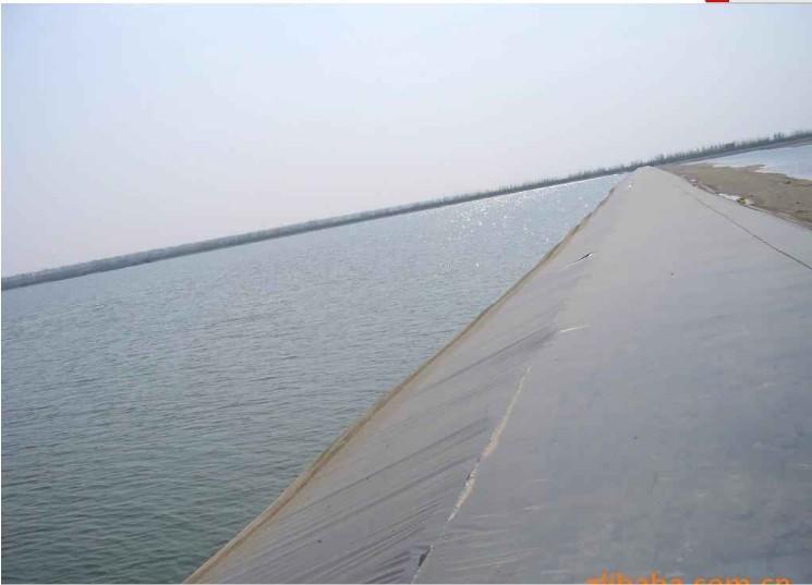 土工膜的應(yīng)用之淡水養(yǎng)殖場