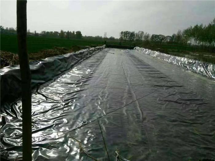 土工膜和土工布的區別在哪里  第2張