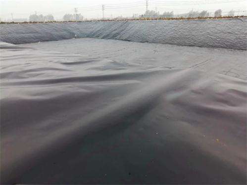 PE土工膜的性能特點及其影響因素與選擇