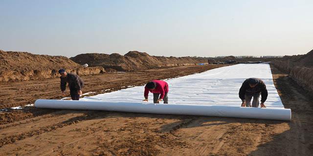 原材料漲價成品土工膜土工布價格如何呢？  第2張