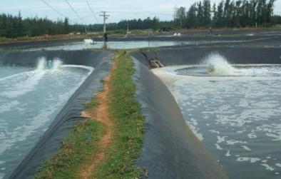魚塘防滲膜發揮的作用和魚塘專用防滲膜的規格