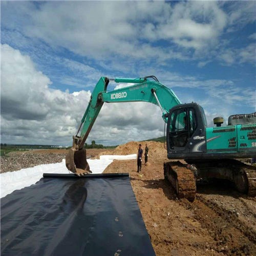 根據(jù)施工技術(shù)水平合理確定復(fù)合土工膜的每日工