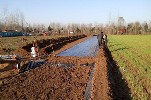 土工膜廠家聊一聊防滲土工膜  第2張