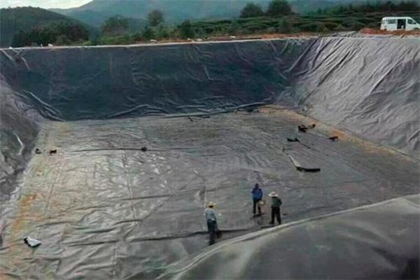 土工膜可以養甲魚嗎？