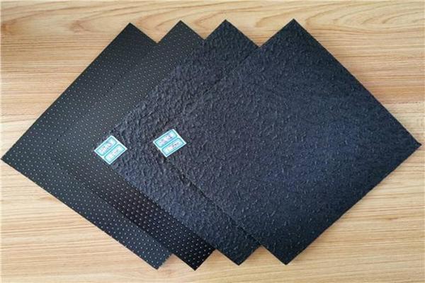 探究雙糙面土工膜的獨(dú)特優(yōu)勢(shì)  第2張