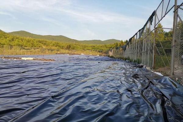貯灰場中土工膜的防滲應用探究  第2張