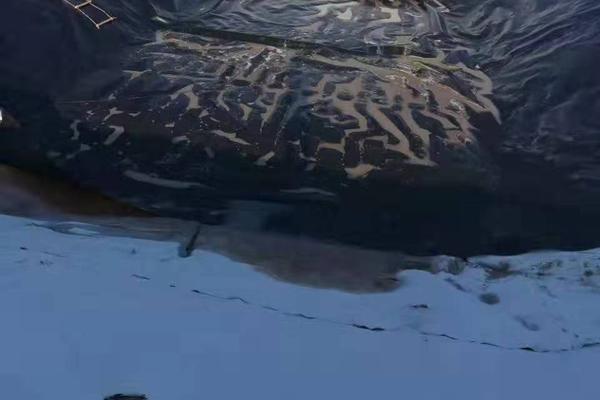 土工膜蠕變原理揭秘：了解這一奇特現象！  第2張