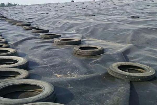 土工膜生產中的吹膜與平擠有何區別？  第3張