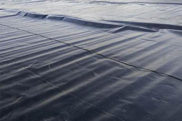 探索土工膜在生態環保中的多重功能  第3張