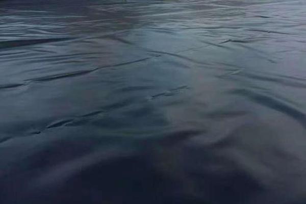 探究土工膜的裁剪性能，了解其特點與優(yōu)勢  第2張