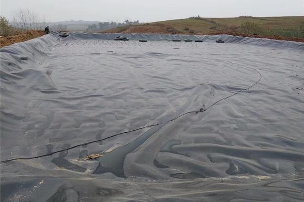 土工膜在種植中的應(yīng)用價(jià)值：防滲土工膜能否用于種植？  第2張