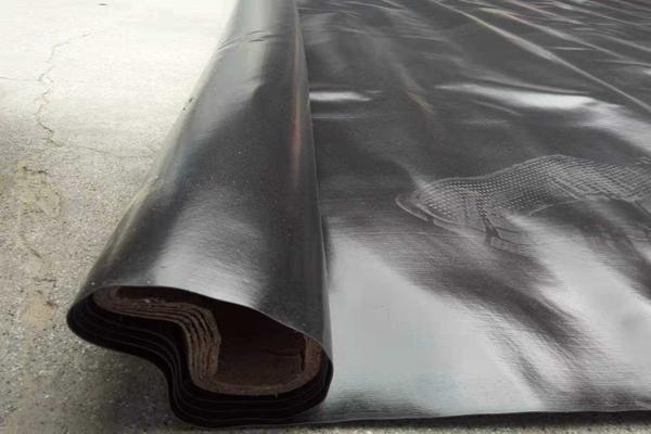 土工膜與復(fù)合土工膜的不同之處 第2張