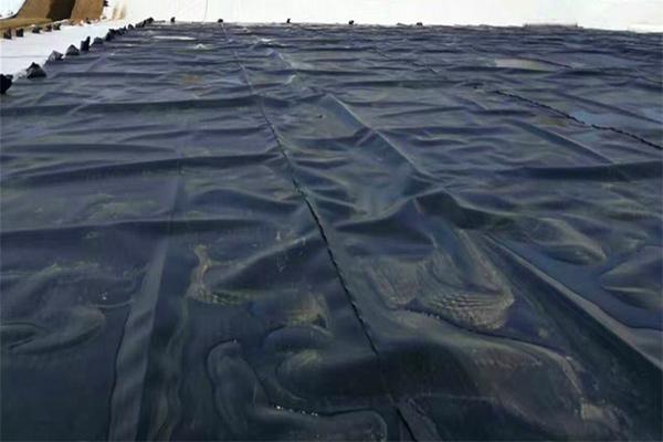 土工膜和pe膜的區(qū)別在哪里 第3張