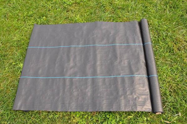 防草膜與防草布對比 第2張