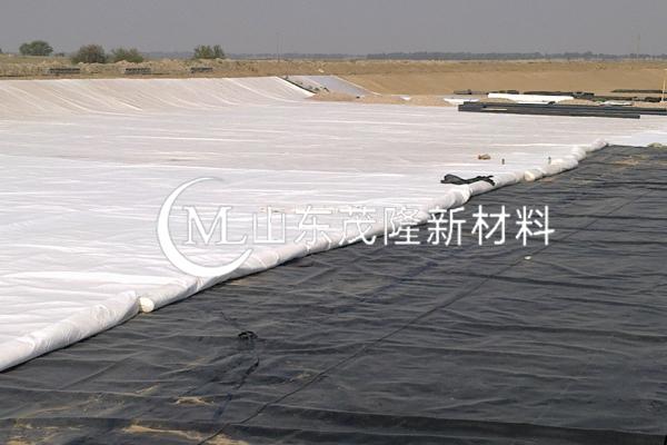 《黎光垃圾填埋場(chǎng)清理搬遷及運(yùn)輸服務(wù)項(xiàng)目》HDPE土工膜