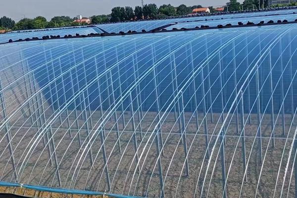 土工膜和大棚膜有什么不一樣 第2張