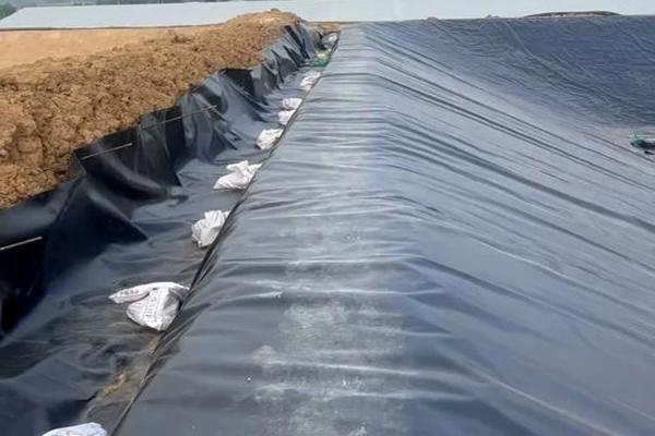 土工膜可以做衛生間防水嗎？  第2張