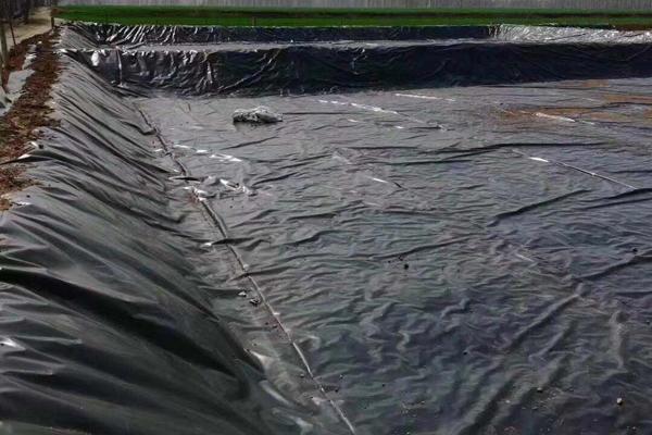 土工膜在護(hù)坡工程中的應(yīng)用 第3張