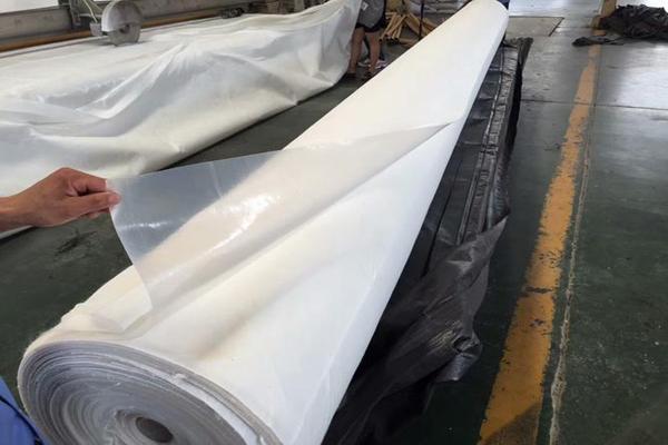 復合土工膜在生態水利工程中的應用 第2張