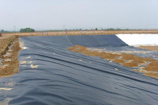 飲用水池可以鋪土工膜嗎 第3張